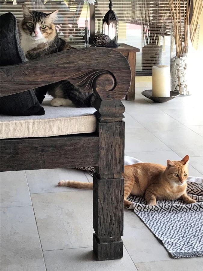 Villa Kelapa Langkawi กัวห์ ภายนอก รูปภาพ